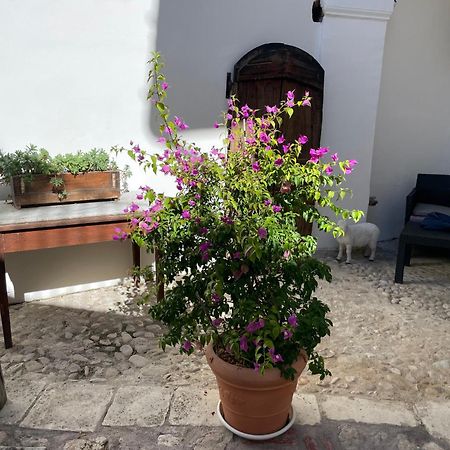 Piazzetta Del Forno Appartamento Assergi Exterior foto